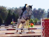 denny-fl-2016-jump-1
