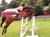 devlin-jump-oxer-1