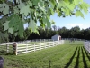 medium-pastures-sm