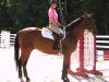 enzo-7-29-13-under-saddle
