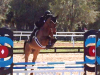 enzo-fl-2016-jump-1