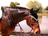 glenn-wef-2010-head